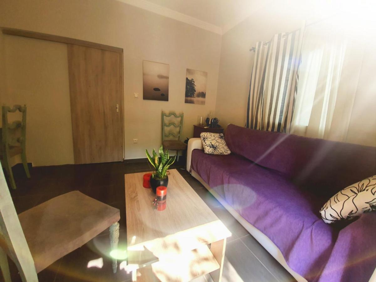 Ilias' Cosy And Relaxing Apartment Athens Exterior photo